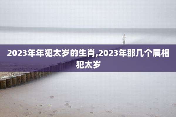 2023年年犯太岁的生肖,2023年那几个属相犯太岁