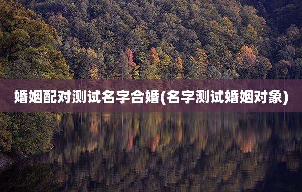 婚姻配对测试名字合婚(名字测试婚姻对象)