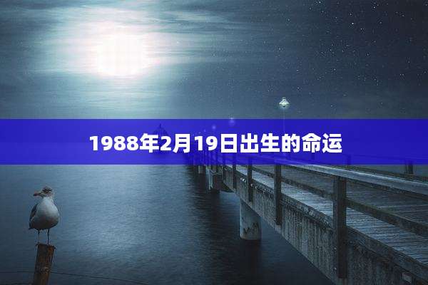 1988年2月19日出生的命运
