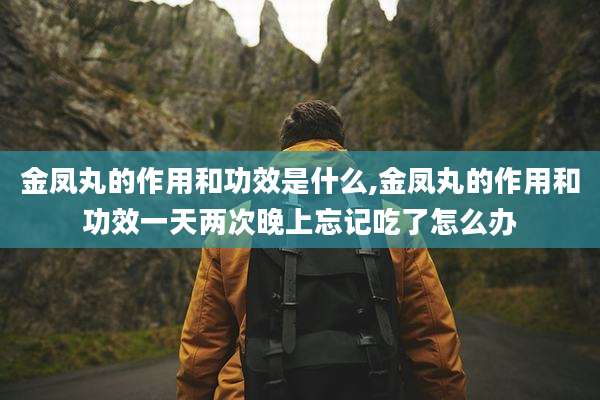 金凤丸的作用和功效是什么,金凤丸的作用和功效一天两次晚上忘记吃了怎么办