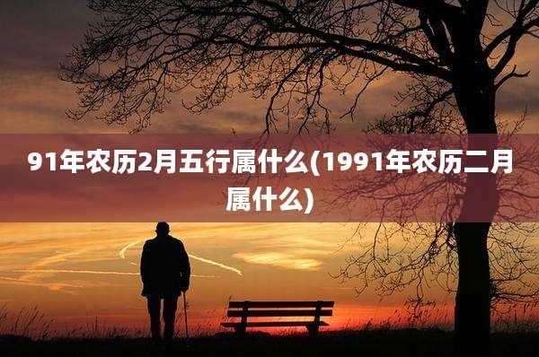 91年农历2月五行属什么(1991年农历二月属什么)