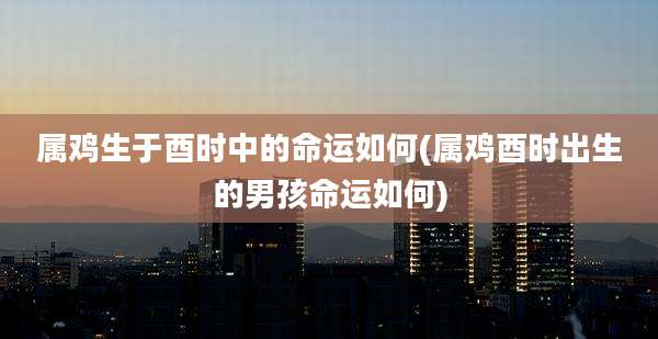属鸡生于酉时中的命运如何(属鸡酉时出生的男孩命运如何)