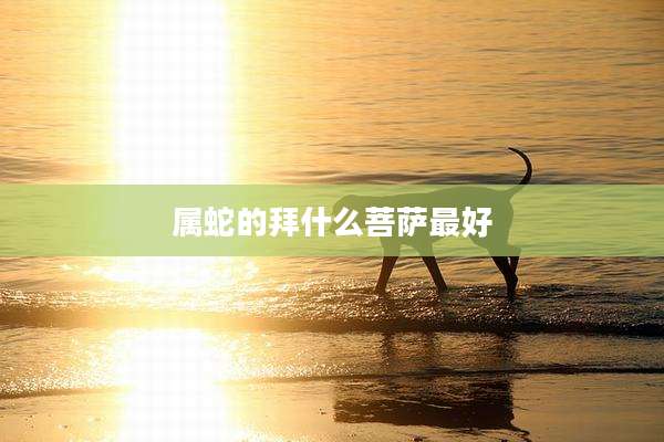 属蛇的拜什么菩萨最好