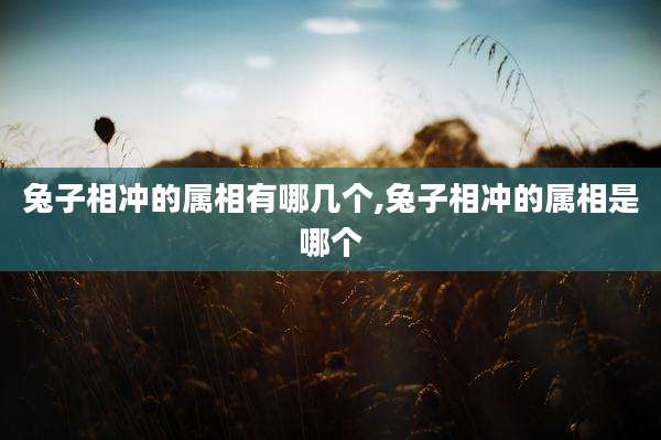兔子相冲的属相有哪几个,兔子相冲的属相是哪个