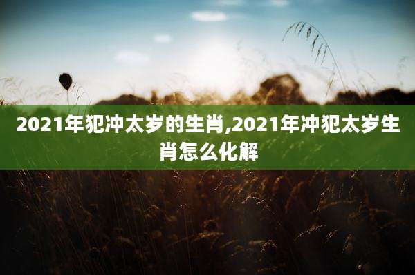 2021年犯冲太岁的生肖,2021年冲犯太岁生肖怎么化解
