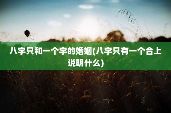 八字只和一个字的婚姻(八字只有一个合上说明什么)