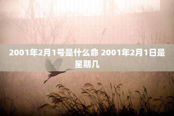 2001年2月1号是什么命 2001年2月1日是星期几