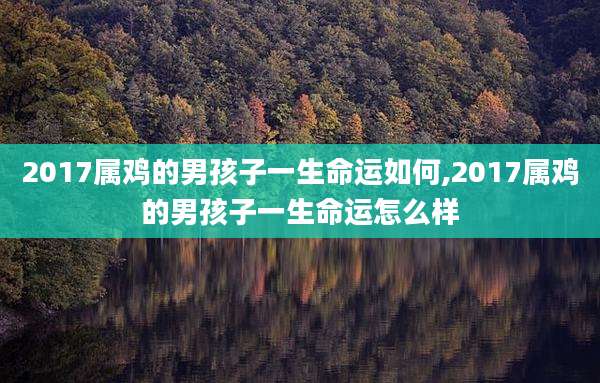 2017属鸡的男孩子一生命运如何,2017属鸡的男孩子一生命运怎么样