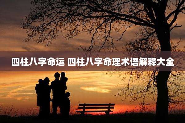 四柱八字命运 四柱八字命理术语解释大全