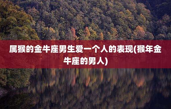 属猴的金牛座男生爱一个人的表现(猴年金牛座的男人)