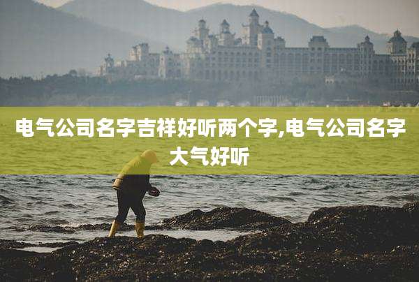 电气公司名字吉祥好听两个字,电气公司名字大气好听