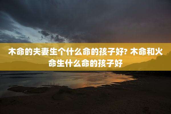 木命的夫妻生个什么命的孩子好? 木命和火命生什么命的孩子好