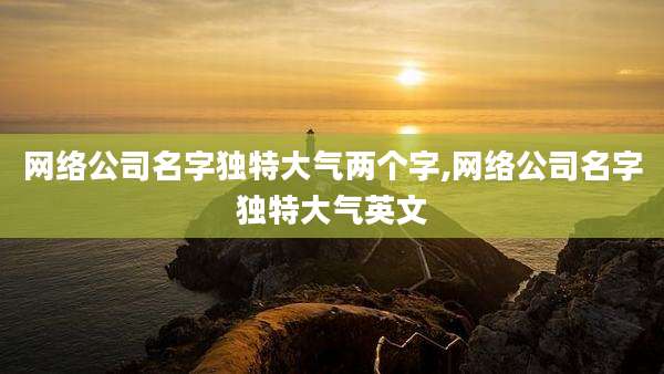 网络公司名字独特大气两个字,网络公司名字独特大气英文