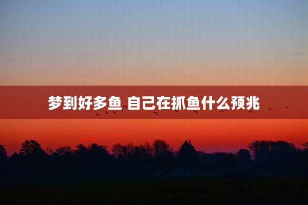 梦到好多鱼 自己在抓鱼什么预兆