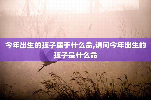 今年出生的孩子属于什么命,请问今年出生的孩子是什么命