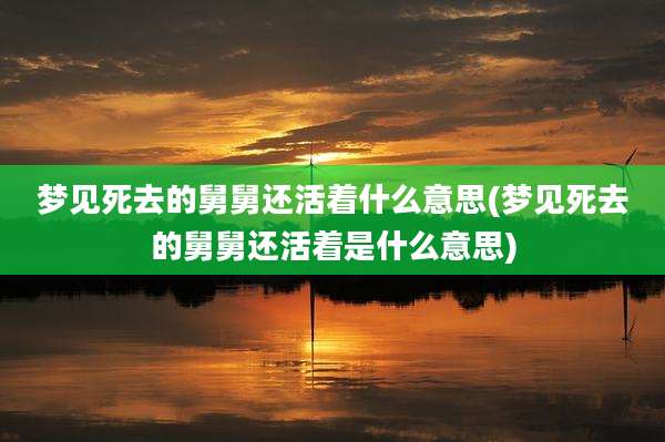 梦见死去的舅舅还活着什么意思(梦见死去的舅舅还活着是什么意思)