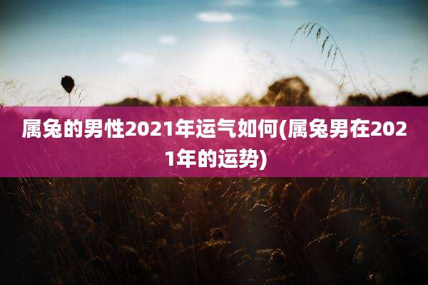 属兔的男性2021年运气如何(属兔男在2021年的运势)