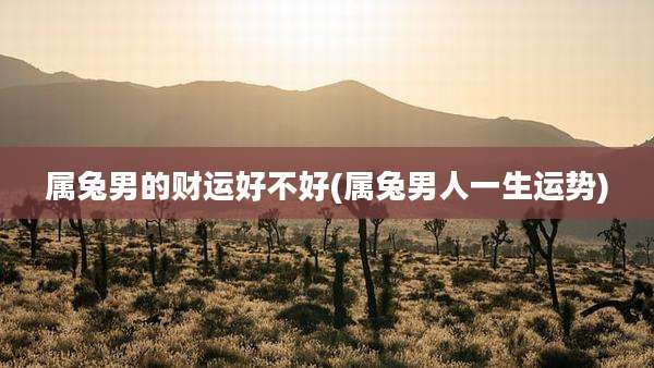属兔男的财运好不好(属兔男人一生运势)
