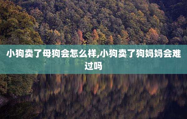 小狗卖了母狗会怎么样,小狗卖了狗妈妈会难过吗