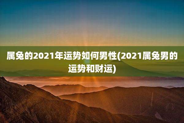 属兔的2021年运势如何男性(2021属兔男的运势和财运)