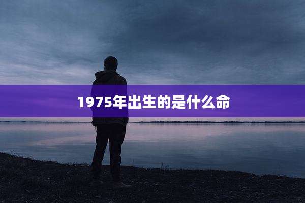 1975年出生的是什么命