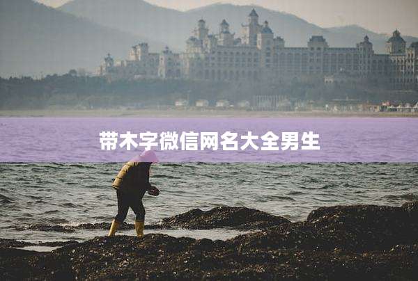 带木字微信网名大全男生
