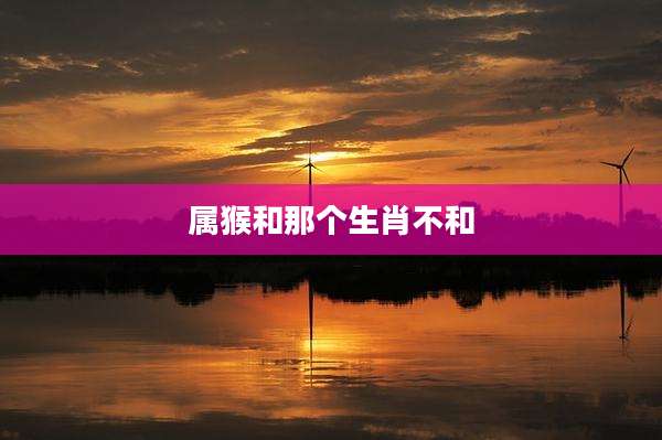 属猴和那个生肖不和