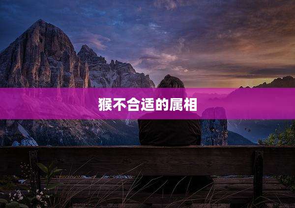 猴不合适的属相