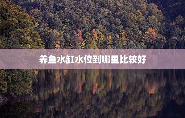 养鱼水缸水位到哪里比较好