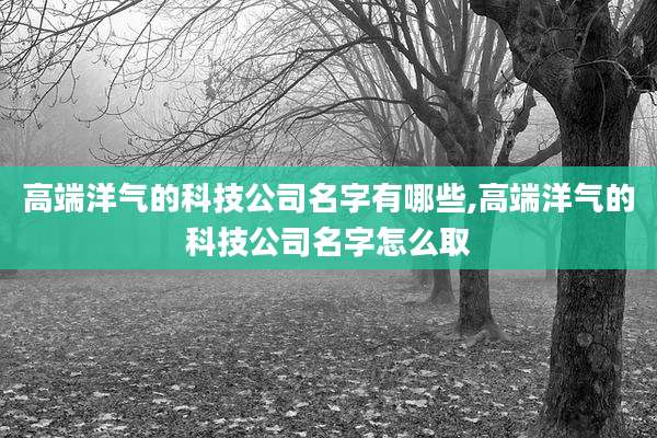 高端洋气的科技公司名字有哪些,高端洋气的科技公司名字怎么取