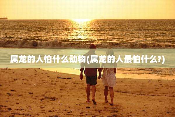 属龙的人怕什么动物(属龙的人最怕什么?)