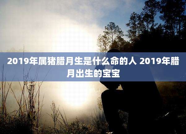 2019年属猪腊月生是什么命的人 2019年腊月出生的宝宝