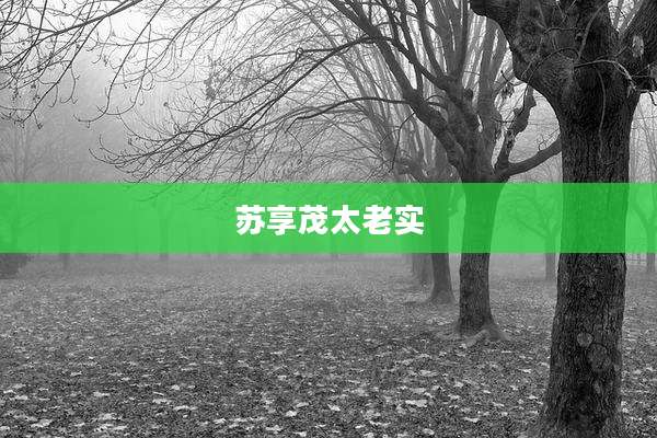 苏享茂太老实