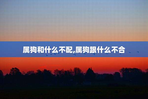 属狗和什么不配,属狗跟什么不合