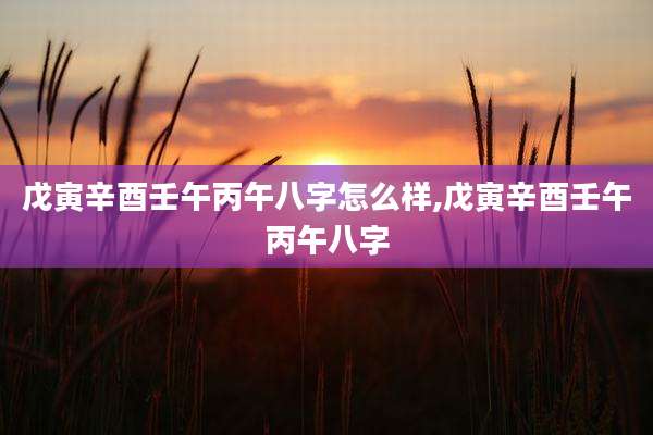 戊寅辛酉壬午丙午八字怎么样,戊寅辛酉壬午丙午八字