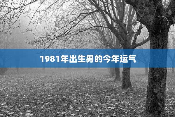 1981年出生男的今年运气