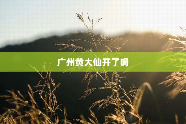 广州黄大仙开了吗