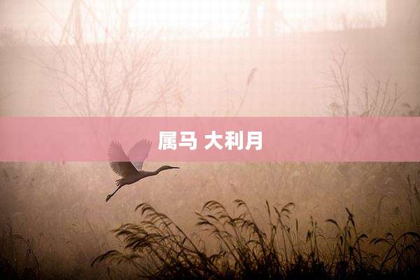 属马 大利月