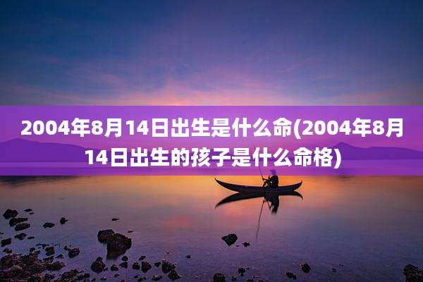 2004年8月14日出生是什么命(2004年8月14日出生的孩子是什么命格)