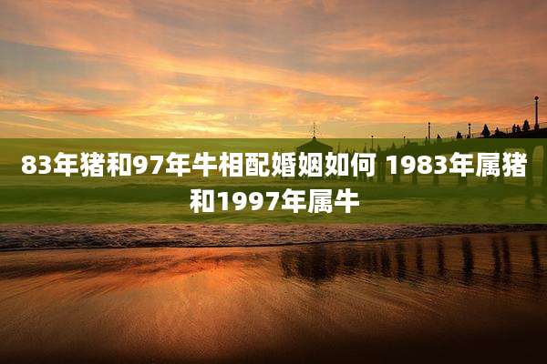 83年猪和97年牛相配婚姻如何 1983年属猪和1997年属牛