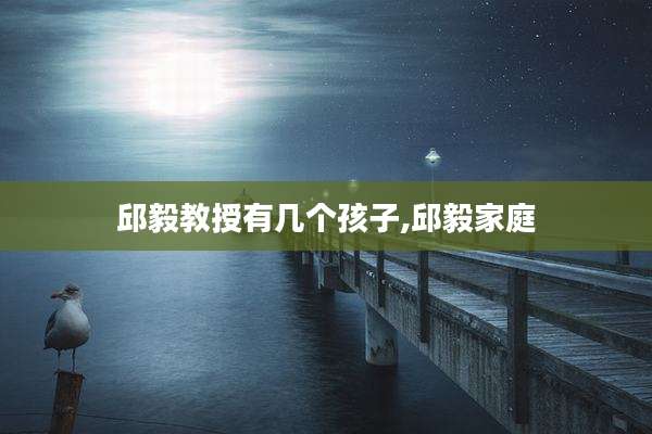 邱毅教授有几个孩子,邱毅家庭