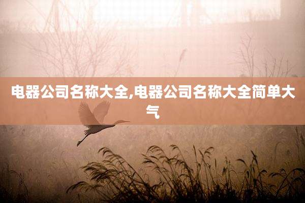 电器公司名称大全,电器公司名称大全简单大气