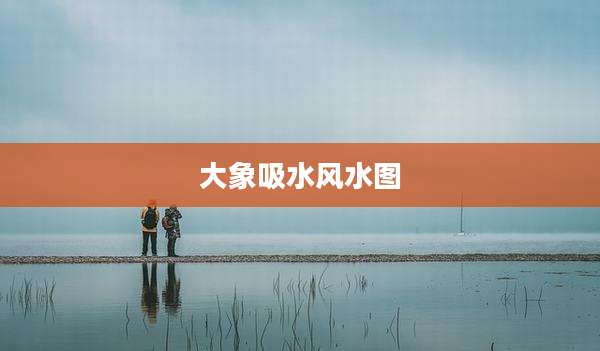 大象吸水风水图