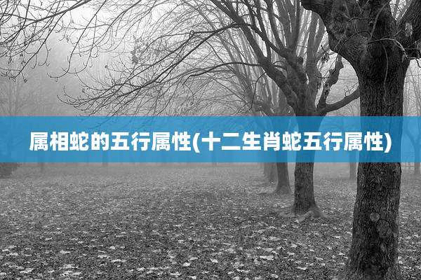 属相蛇的五行属性(十二生肖蛇五行属性)