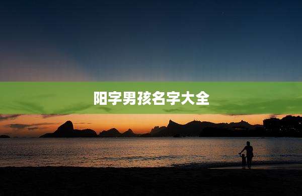 阳字男孩名字大全
