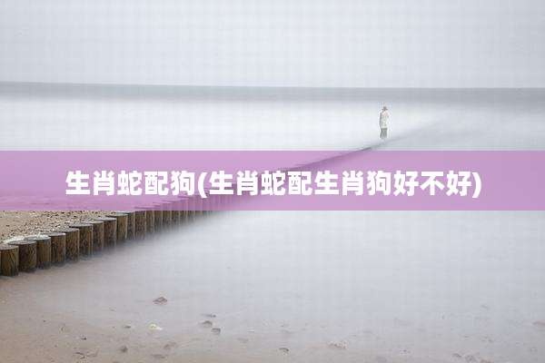 生肖蛇配狗(生肖蛇配生肖狗好不好)