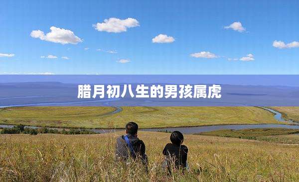 腊月初八生的男孩属虎