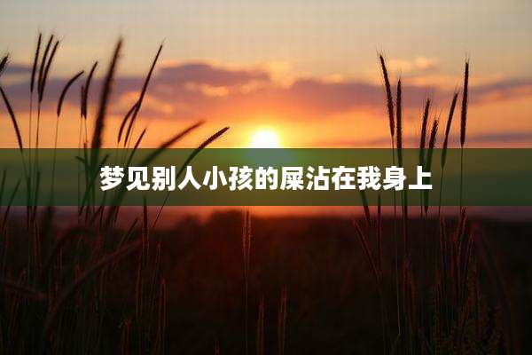 梦见别人小孩的屎沾在我身上