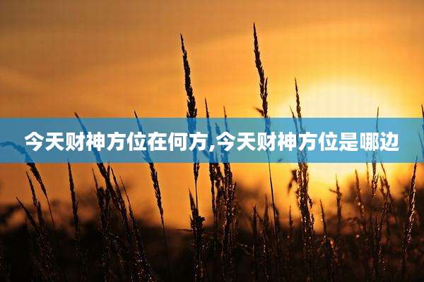 今天财神方位在何方,今天财神方位是哪边