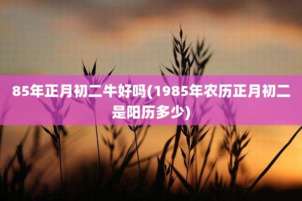 85年正月初二牛好吗(1985年农历正月初二是阳历多少)